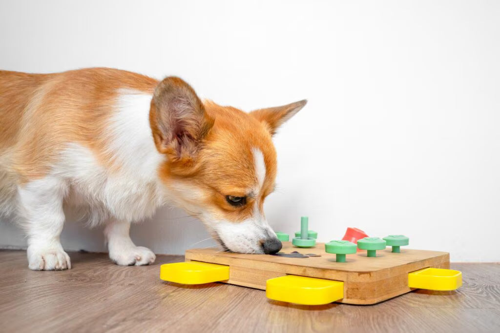Quality Pet Toys For Pets Happy Playtime